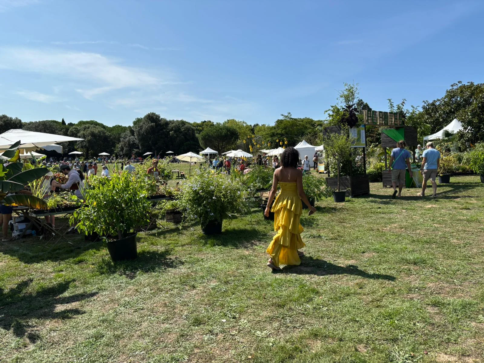 FOLIE DES PLANTES 2025